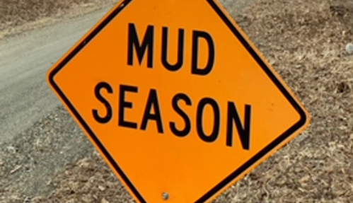 Muddy Musings on Non-Gardeners / March 30, 2021