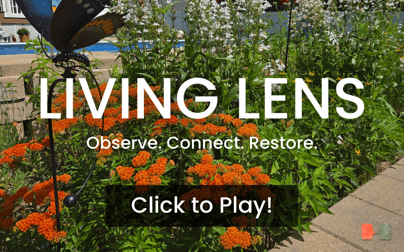 Living Lens for Email 3