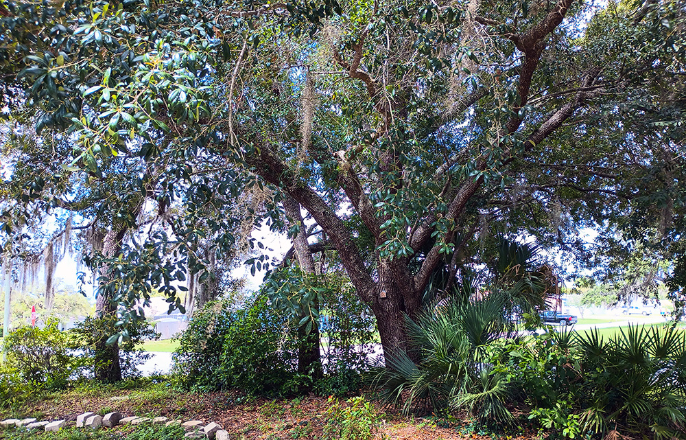 Magrin_crowell Springhill FL