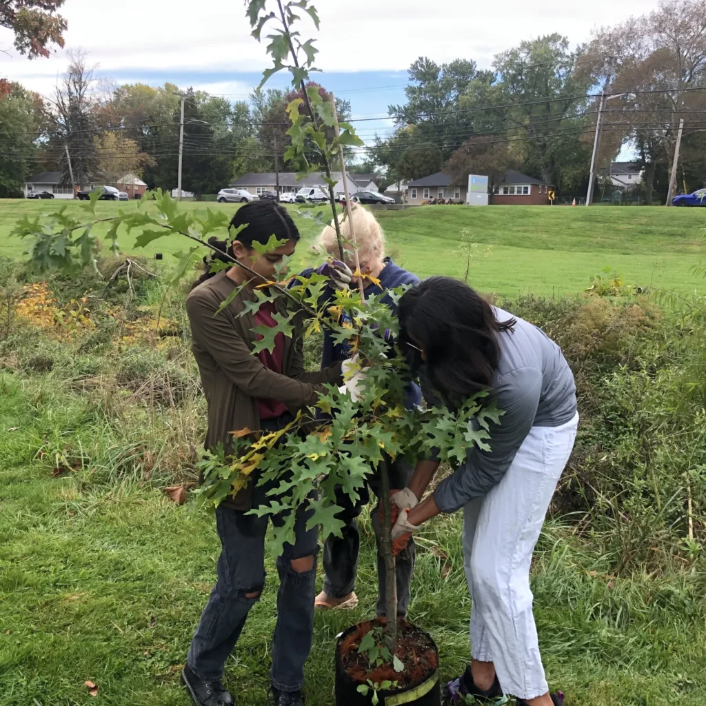 Community canopy project 3
