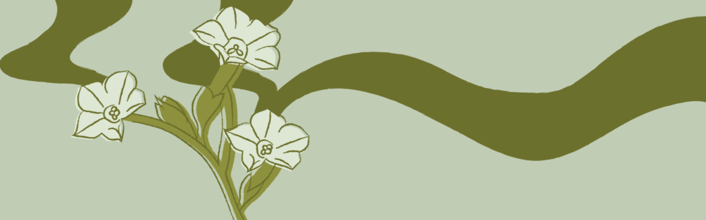 Who Thrives When Water Dries Scent