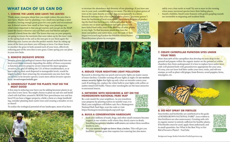 Brochure - Homegrown National Park