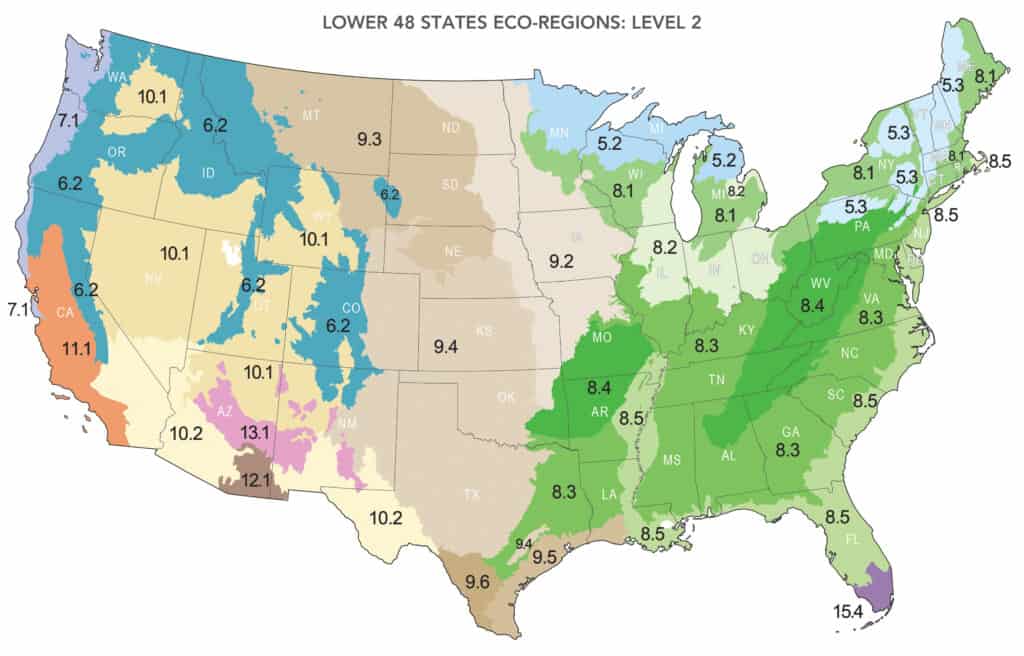 Container Gardening With Keystones - Homegrown National Park