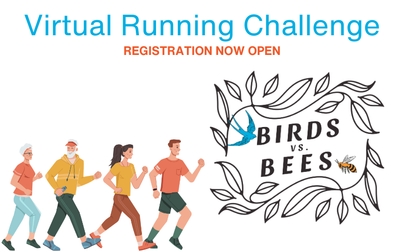 Birds vs. Bees: A Two-Month Virtual Running Challenge