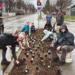 Bioswale community planting by Metro Blooms