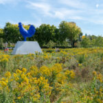 Meadow at MPLS Sculpture Garden