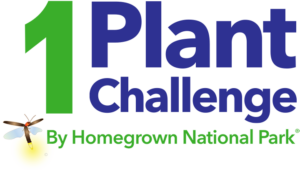 HNP 1 PLANT CHALLENGE.2b_720px