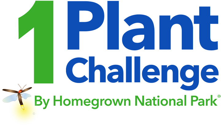 HNP 1 PLANT CHALLENGE.2c_720px