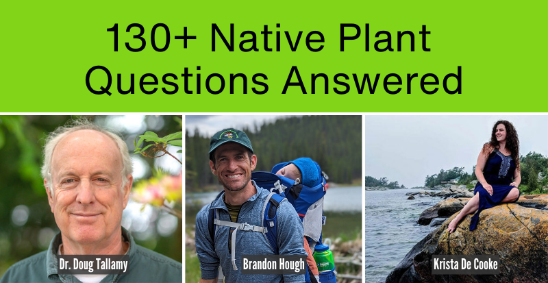 130+ Native Plant & Biodiversity Questions Answered
