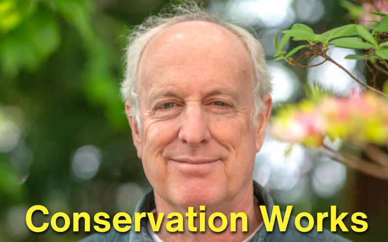 Conservation Works - Doug Tallamy - Increase Biodiversity - International Day for Biodiversity - Homegrown National Park