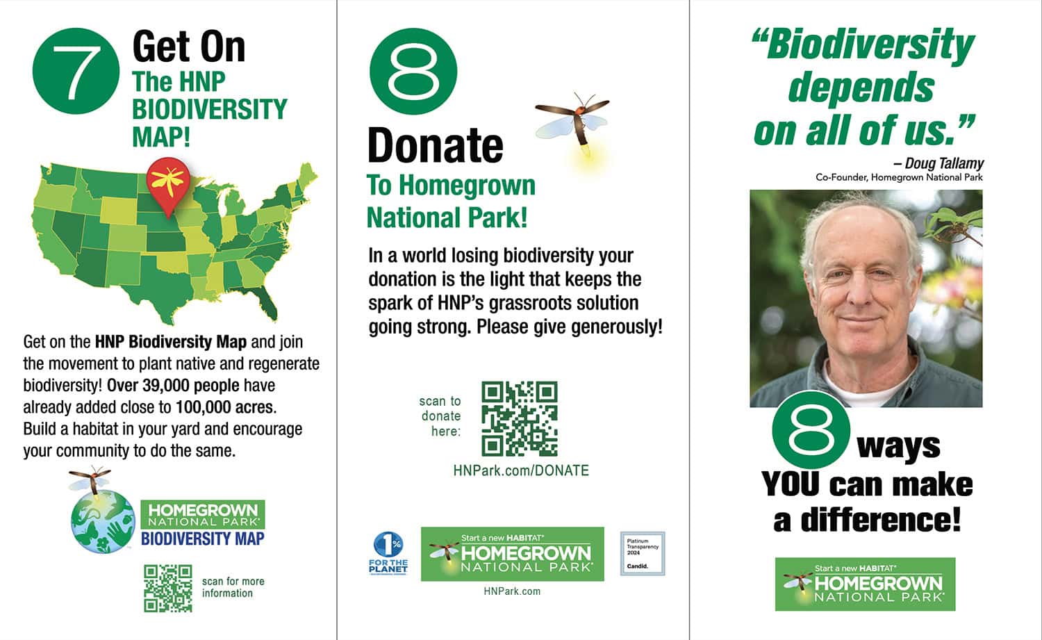 8 ways you can make a difference and regenerate biodiversity now - Homegrown National Park