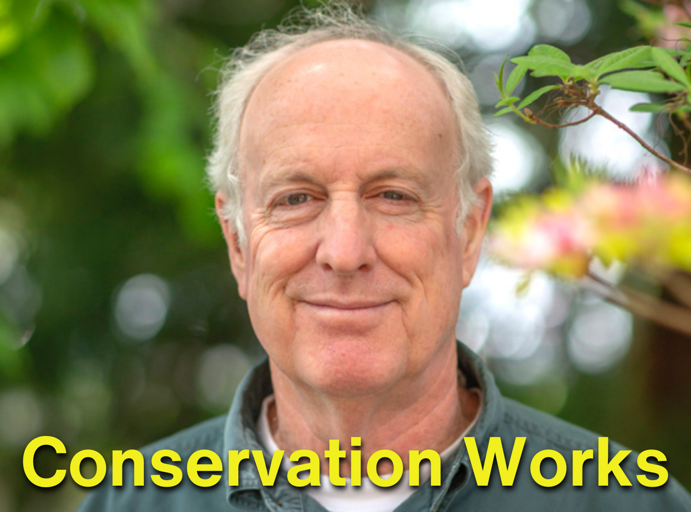 Conservation Works - Doug Tallamy - Increase Biodiversity - International Day for Biodiversity - Homegrown National Park