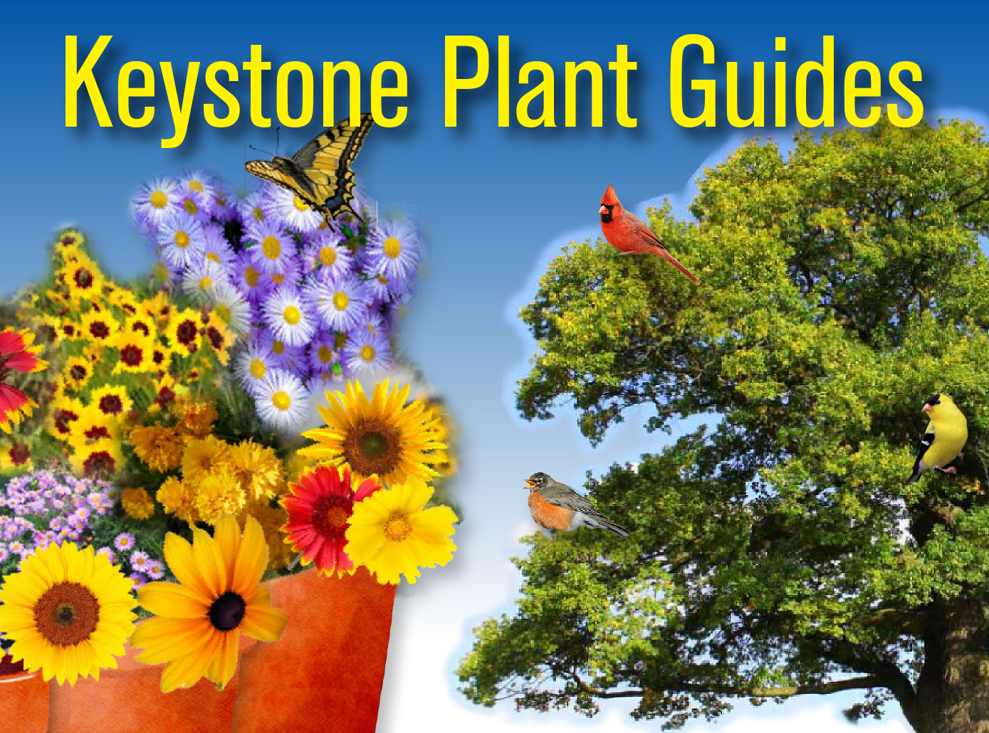 Keystone Plant Guides Homepage