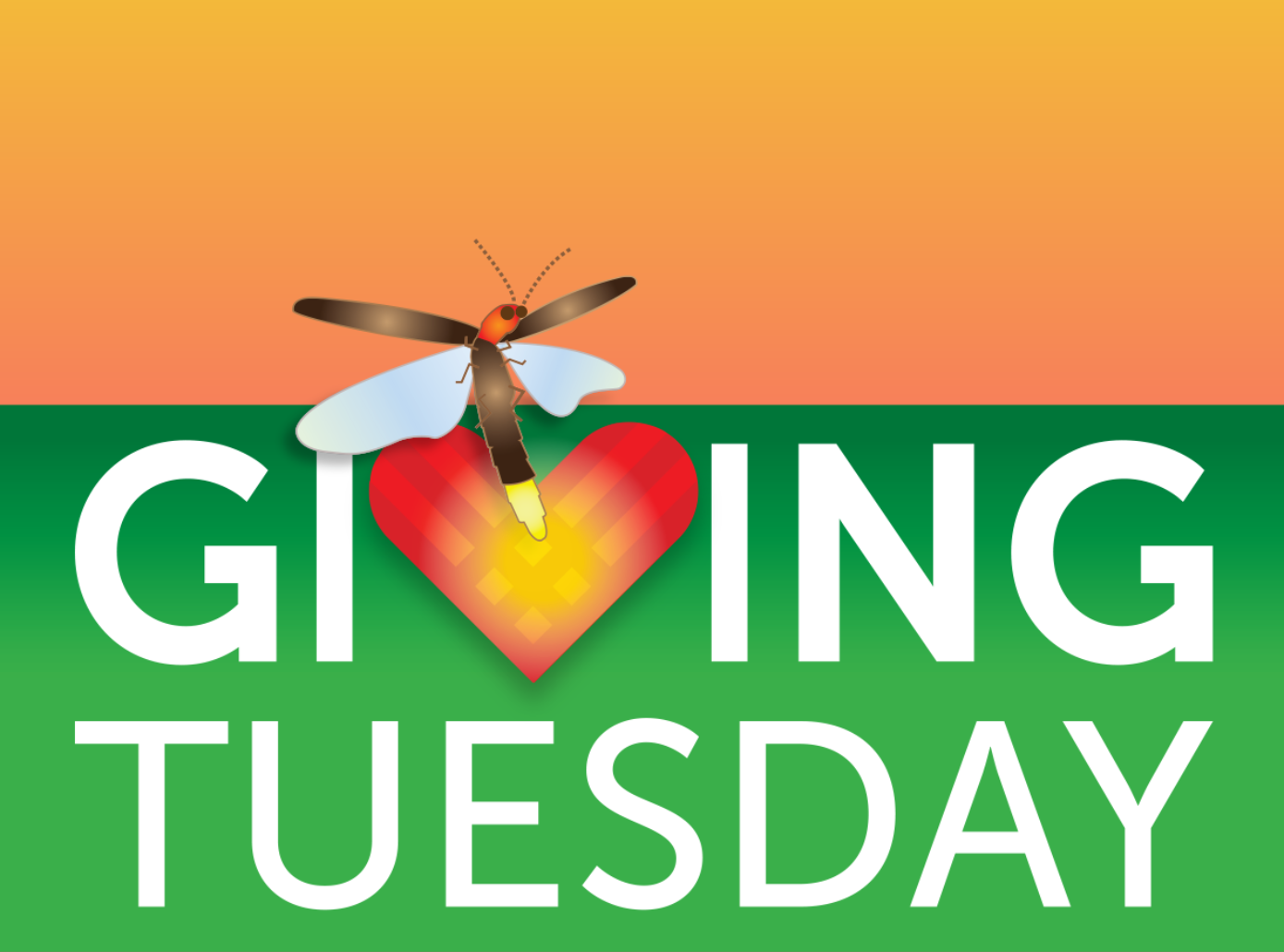 Homepage Giving Tuesday