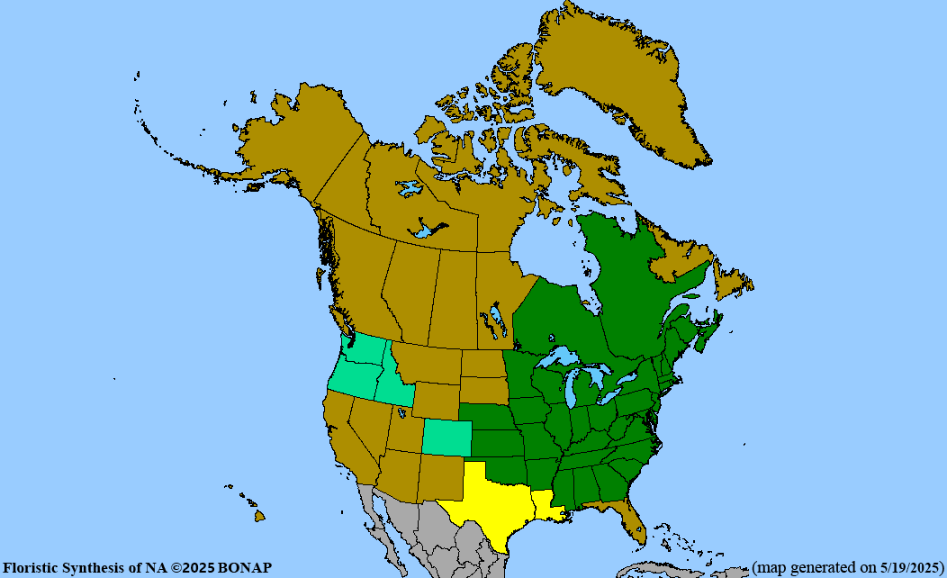 red-oak-homegrown-national-park
