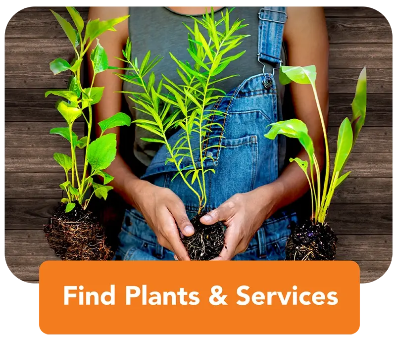 woman holding native plant