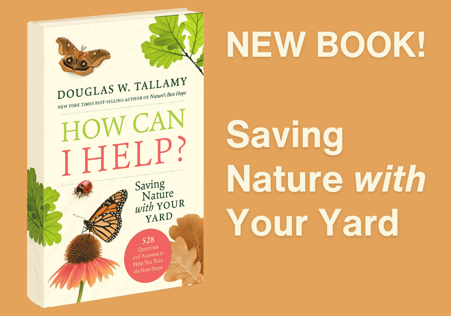 book cover of Doug Tallamy's How Can I Help