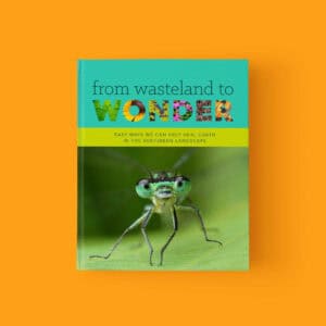 Wasteland to Wonder