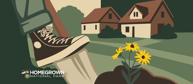 Homegrown National Park official Facebook Group