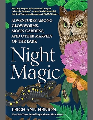 HNP NIGHT MAGIC 386x500px