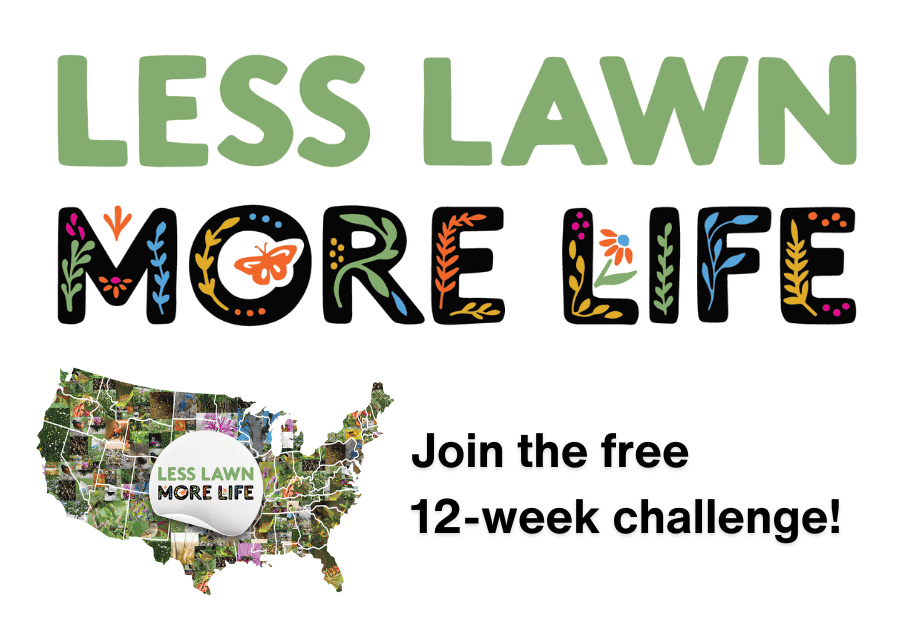 less lawn more life native planting and ecological gardening challenge