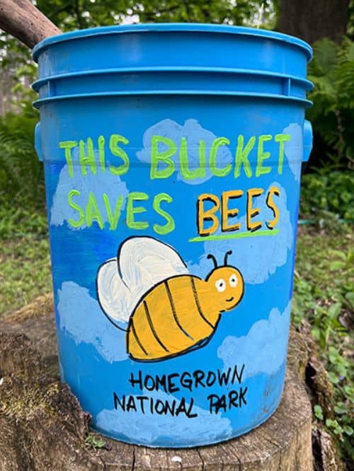 Mosquito Bucket Challenge Bees Mosquito Bucket Challenge Bees