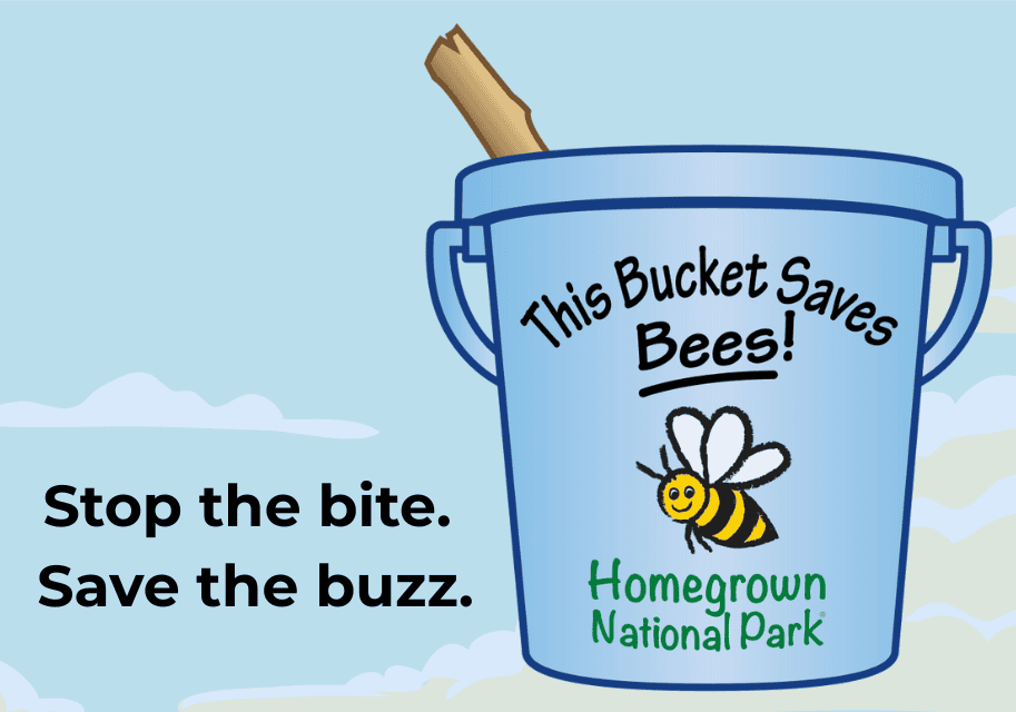 Mosquito Bucket Challenge Homepage