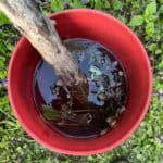 Mosquito Bucket Challenge stick rescue stick in a red mosquito bucket