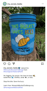 Mosquito Bucket Socials Example 1 Mosquito Bucket Challenge social media example 1