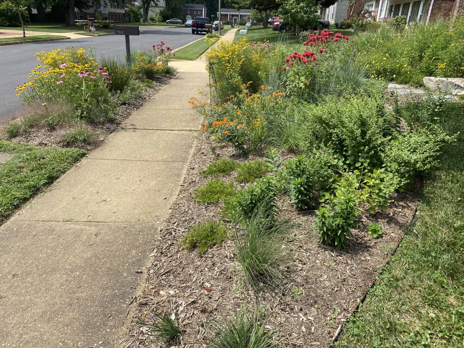 Planting Native in Your HOA Community - Homegrown National Park