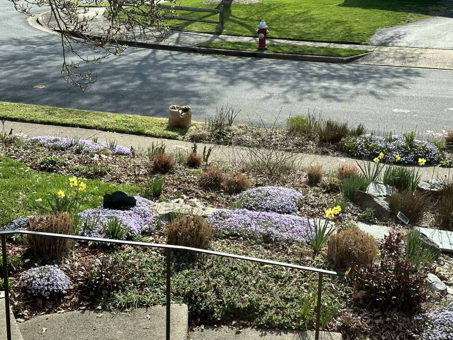 Planting Native in Your HOA Community - Homegrown National Park