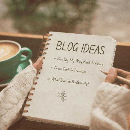 Blog Post Ideas Blog Post Ideas