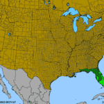 Bursera-simaruba.png