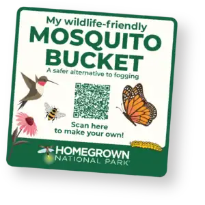 mosquito bucket sticker illustration