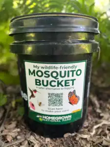 black mosquito bucket with sticker in a shade garden
