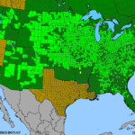 Prunus-americana.png