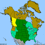 Ratibida-columnifera-1.png