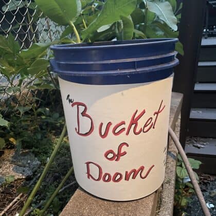 Tim Snyder Bucket of Doom