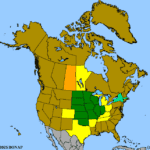 Vernonia-fasciculata-1.png