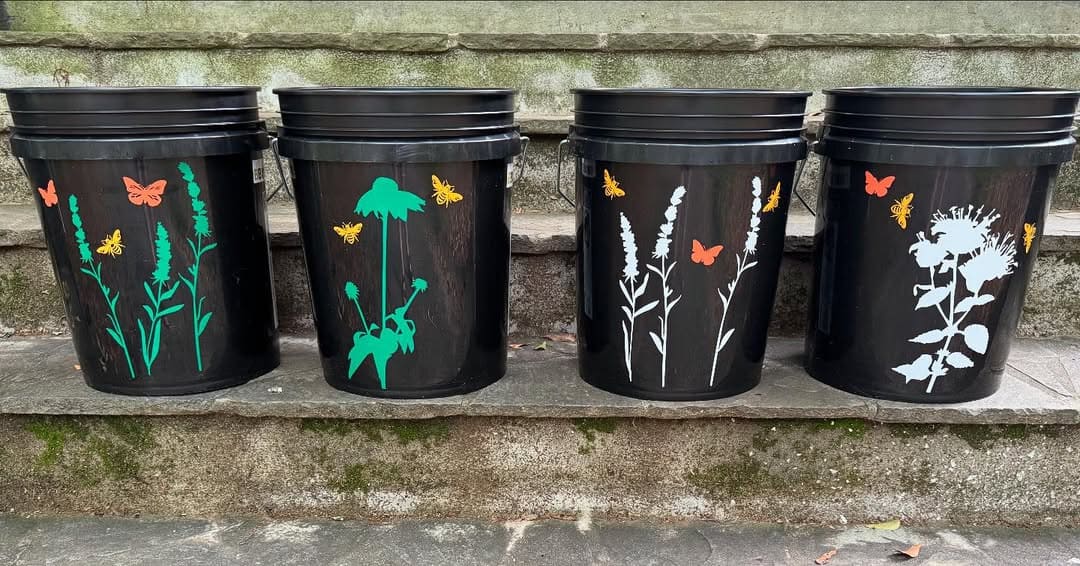 bbucketsconnect mosquito bucket