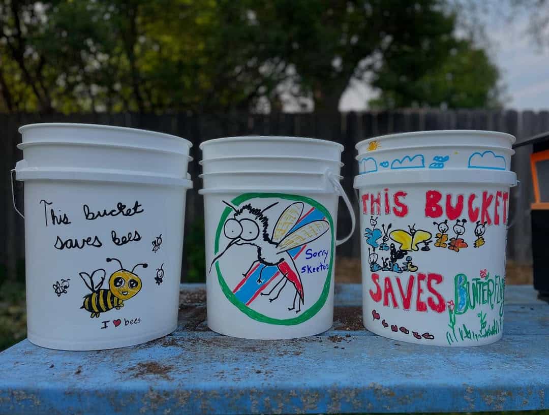 bouquetsforbetter mosquito bucket