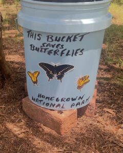 richard.schreiber mosquito bucket