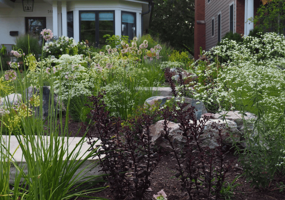 native plant garden in front of an hoa home