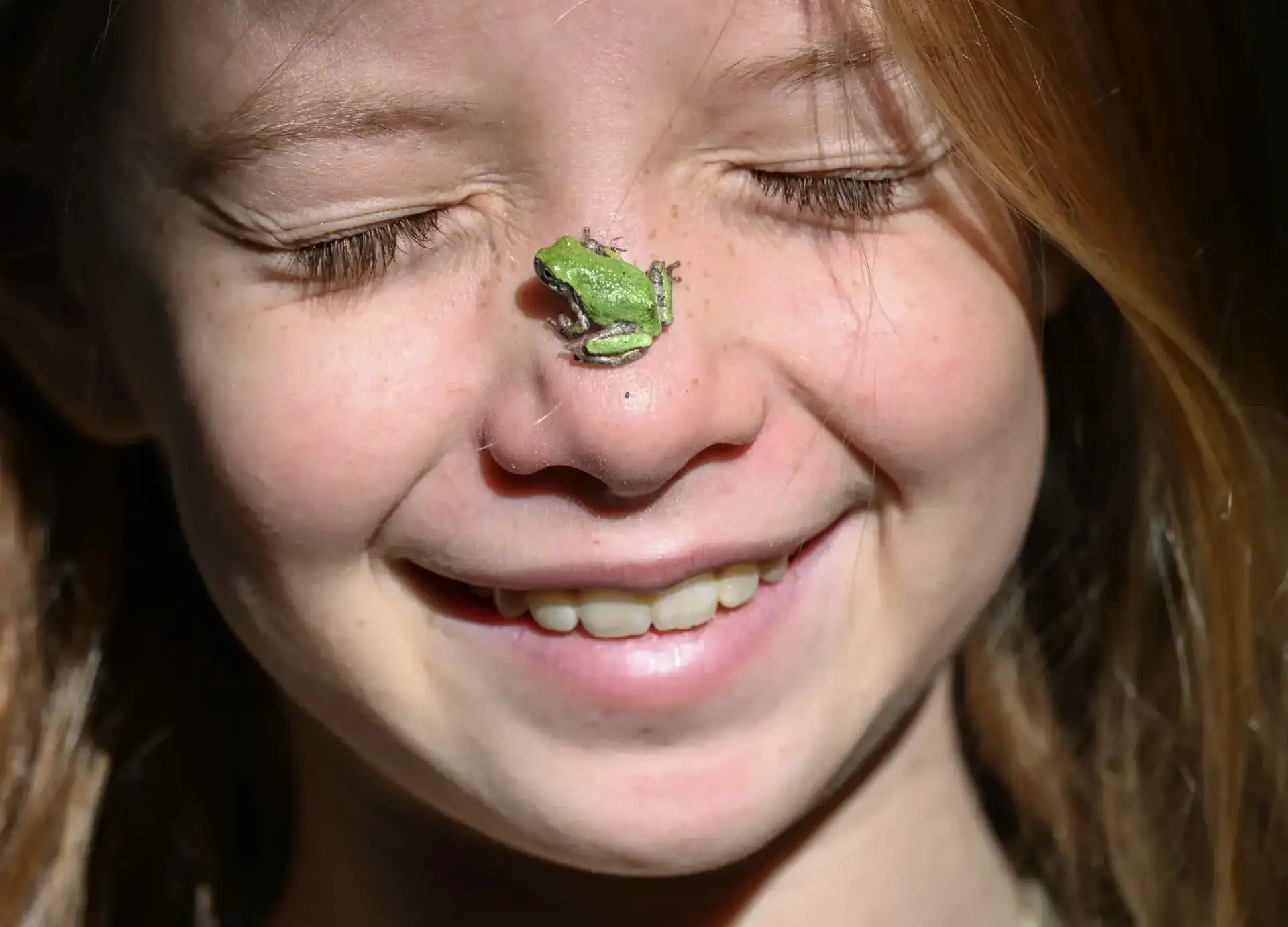 HNP_DT_GIRL_FROG.1
