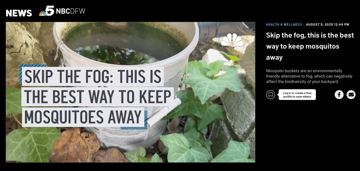 NBC News story screenshot featuring a mosquito bucket filled with water, with text reading “Skip the fog: This is the best way to keep mosquitoes away.