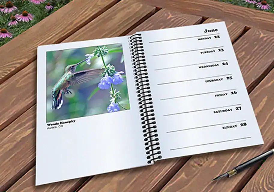 Open spiral-bound weekly planner showing June 22–28, with a photo of a hummingbird feeding on purple flowers,