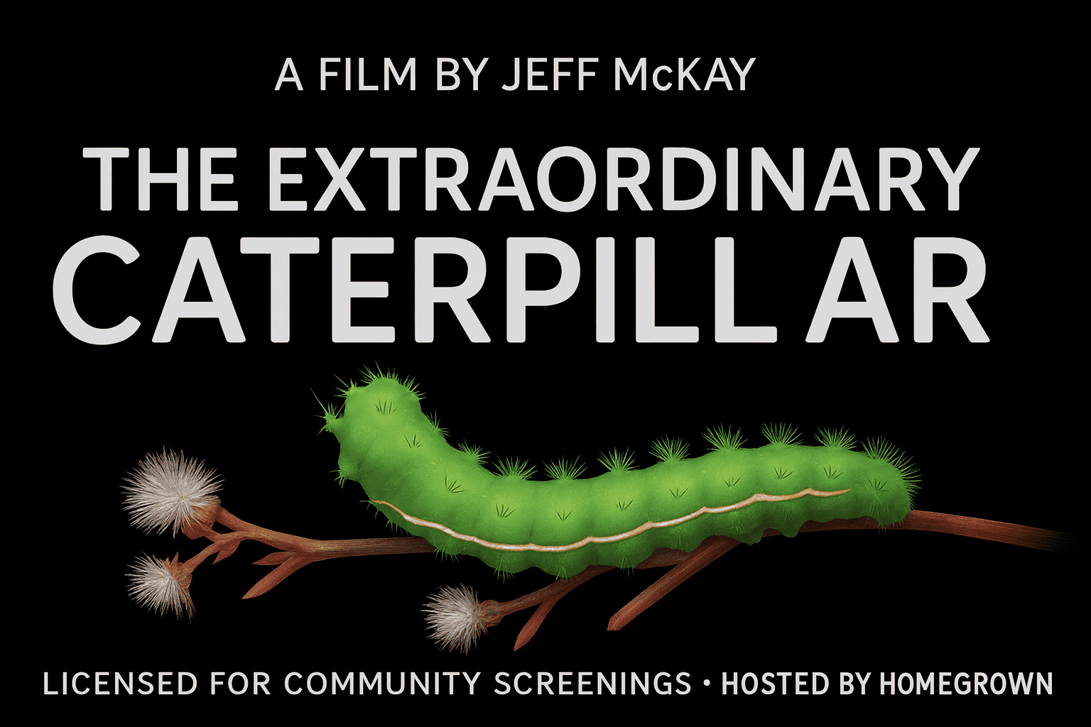 Caterpillar email header example Caterpillar email header example