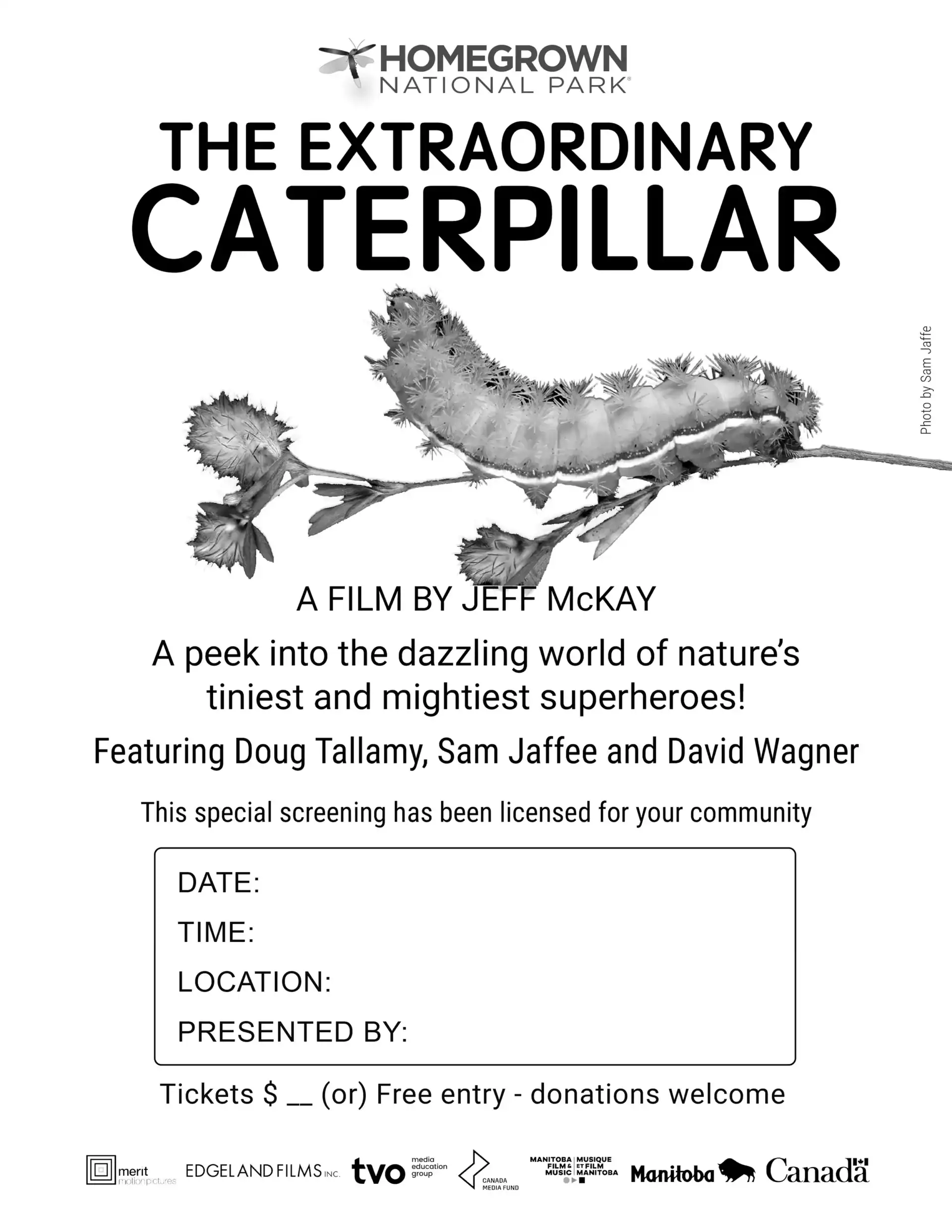 Extraordinary Caterpillar Flyer BW
