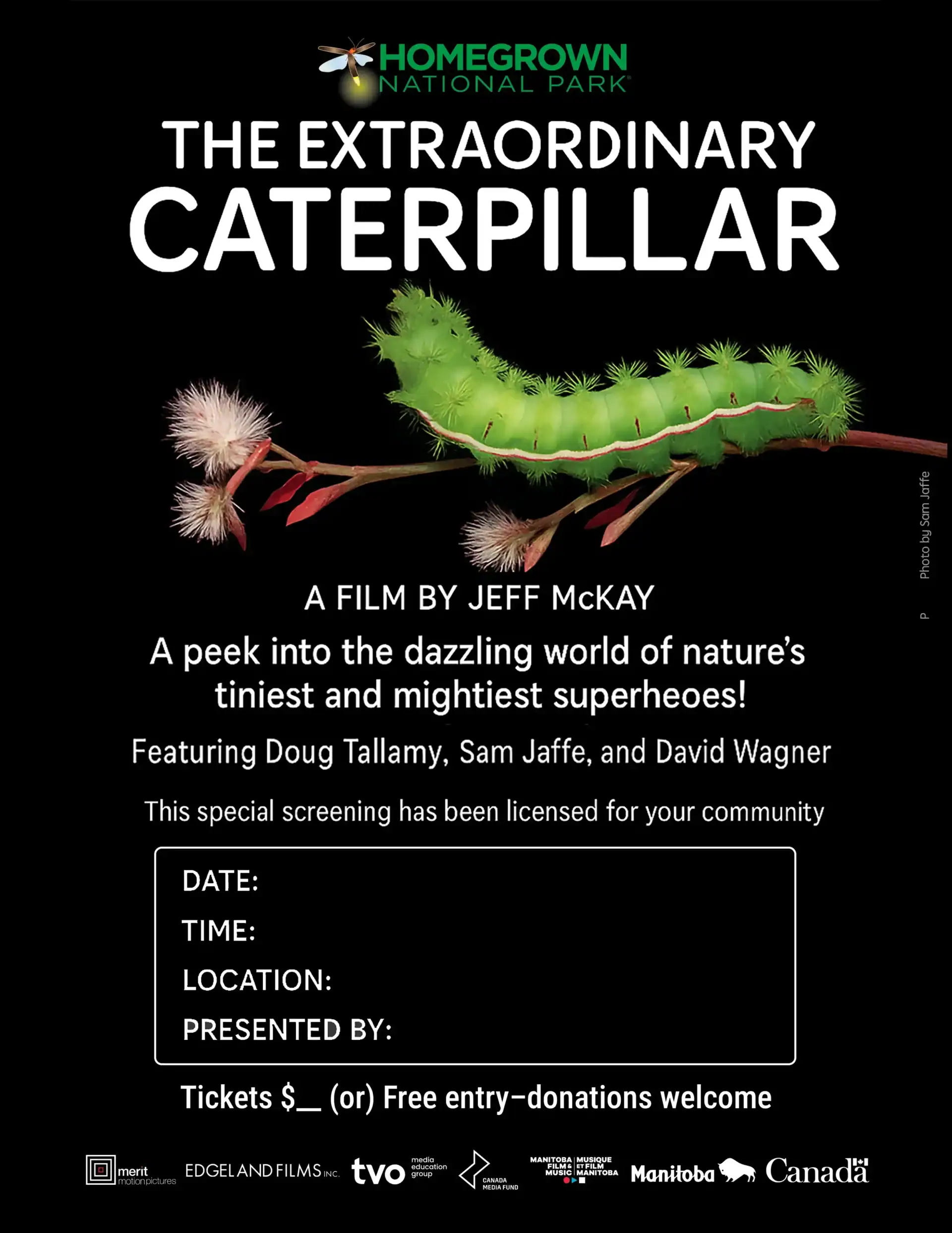 Extraordinary Caterpillar Flyer