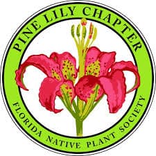 florida native plant society pine lily chapter